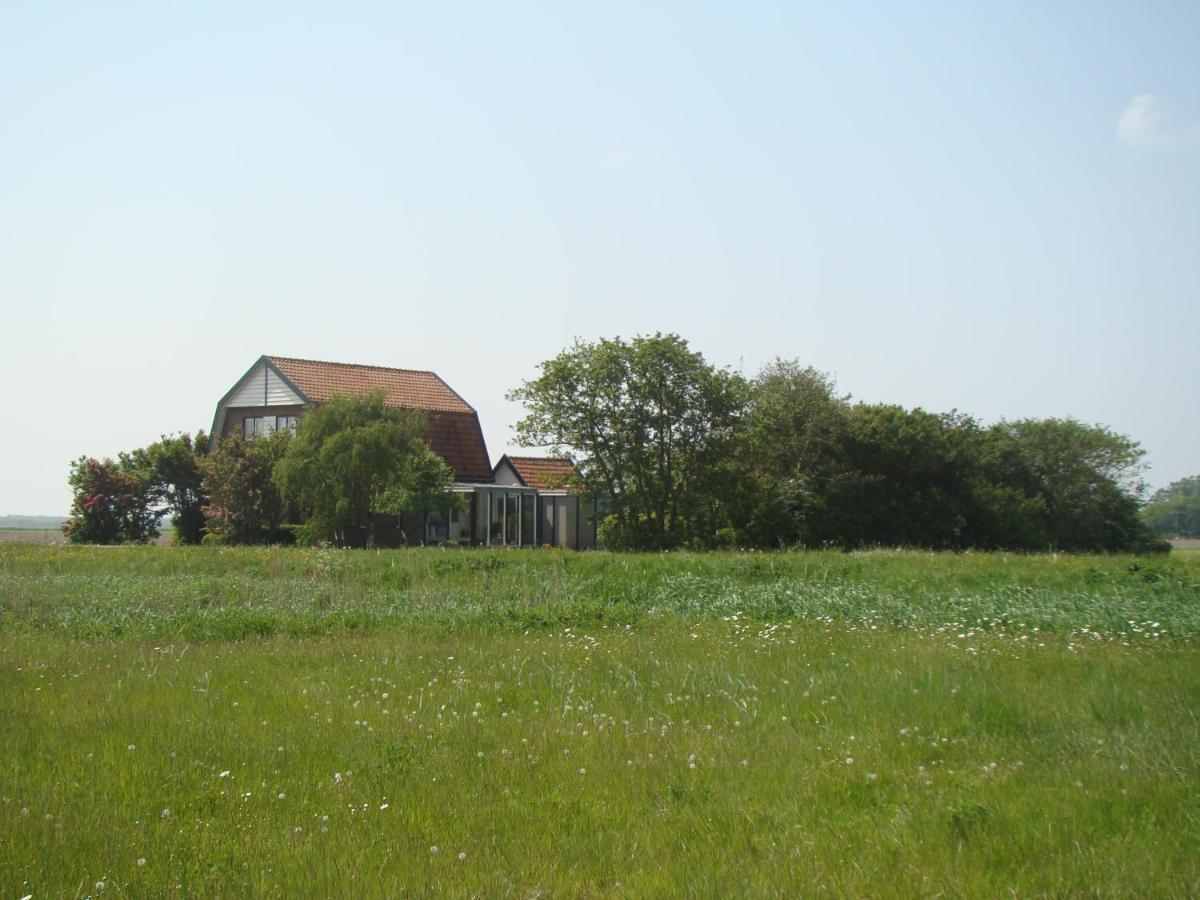 B&B Zuiderkreek De Cocksdorp  Zewnętrze zdjęcie
